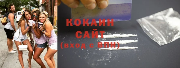 ECSTASY Бородино