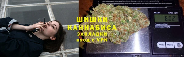 ECSTASY Бородино
