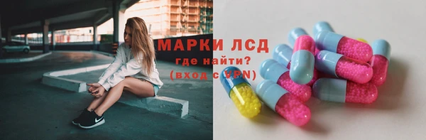 ECSTASY Бородино