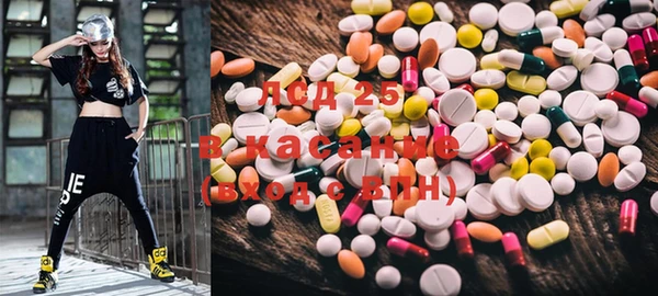 ECSTASY Бородино