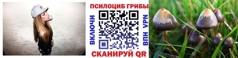 Галлюциногенные грибы Magic Shrooms  магазин продажи   Губкин 